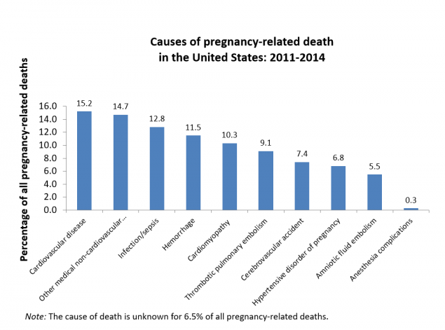 Causes of Maternal Mortality as reported by the CDC